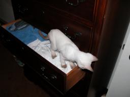 tara & emma in drawer 2